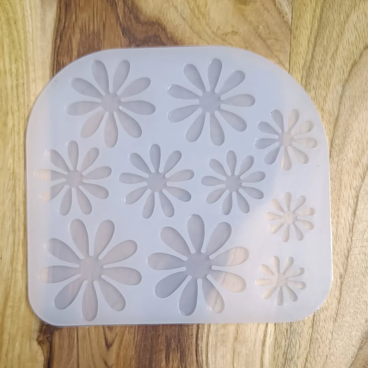 464236177_1970139943411358_4014526834551672291_n
